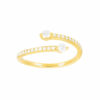 Anillo Riyad