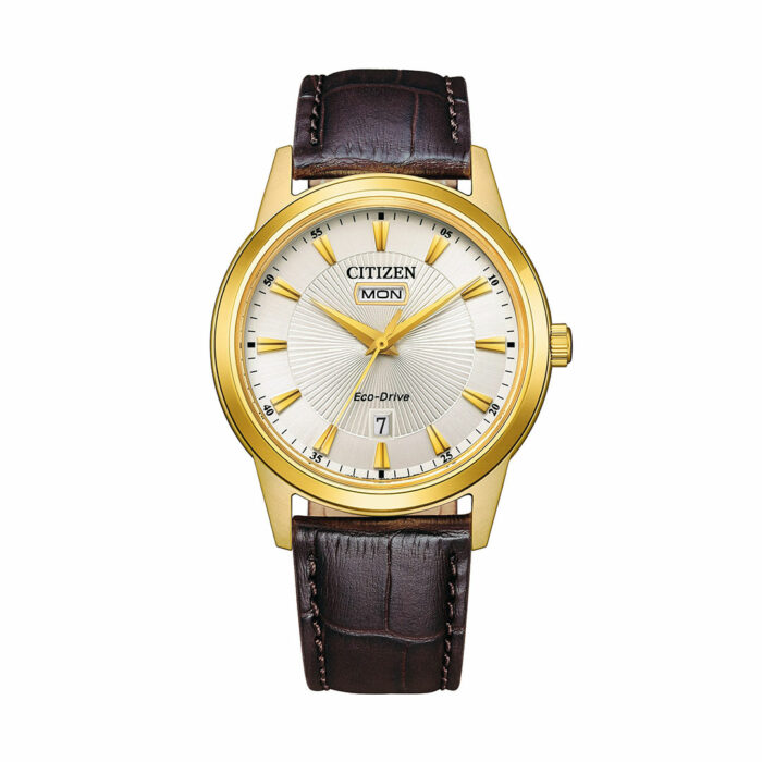 Reloj Citizen Classic Eco-Drive AW0102-13A