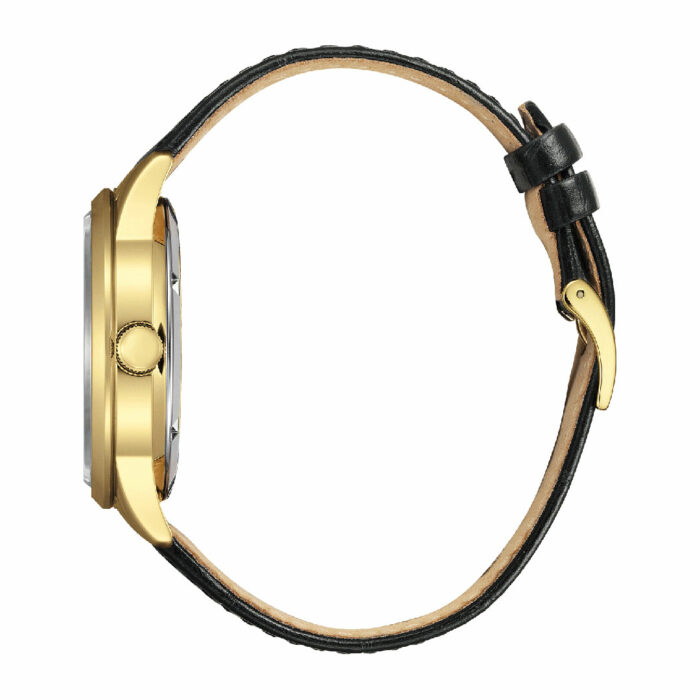 Reloj Citizen Platform Mechanical NY4059-09A - Imagen 2